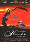 Adventures Of Priscilla5.jpg